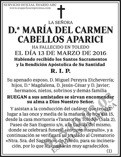 María del Carmen Cabellos Aparici